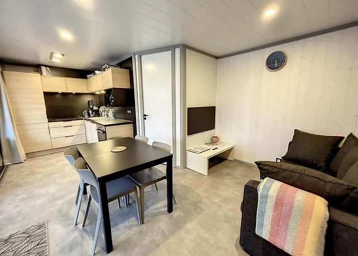 Standing Avec Piscine Chauffee, 4 Couchages, Proche Et Commerces, Wifi Inclus - Fr-1-361-527 *